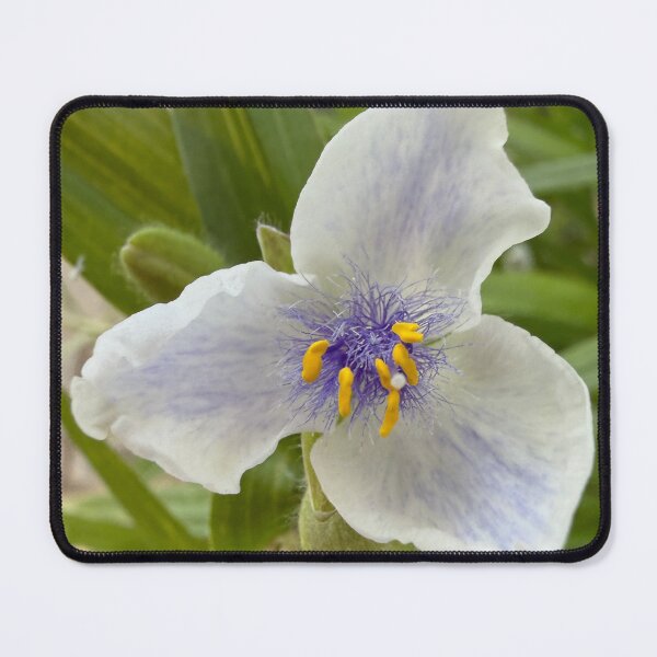 Item preview, Whimsical Bloom designed and sold by Betsy Phillips.