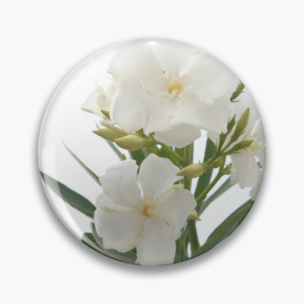 Item preview, White Oleander Flowers Close Up Isolated On White Background  designed and sold by taiche.