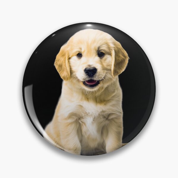 Aperçu de l'œuvre Rythme cardiaque du Golden Retriever créée et vendue par RockitBaby.