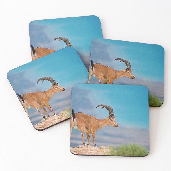 Item preview, Lone Elk Standing on Rocky Mountain Overlook designed and sold by Amitphotos.
