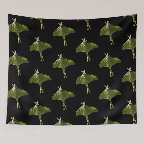 Item preview, Luna Moth photograph designed and sold by GiSilver.