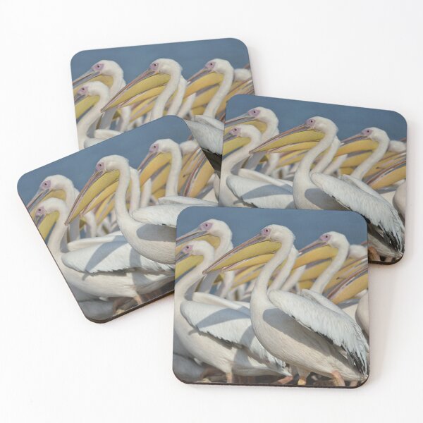 Item preview, A pelicans designed and sold by Amitphotos.