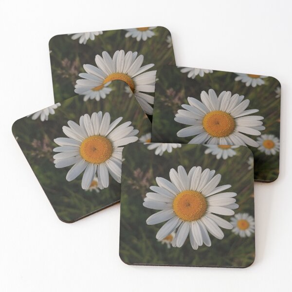 Item preview, White Daisy Flowers in Summer Meadow designed and sold by Nature Moments.