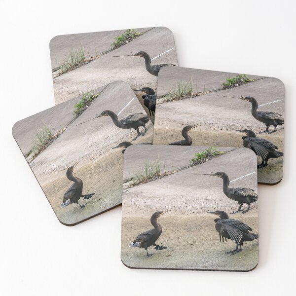 Item preview, Neotropic Cormorants on a Concrete Slab designed and sold by Pondside-Pics.