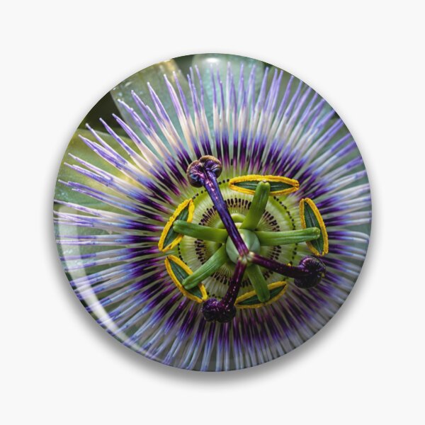 Item preview, Radiant Passionflower at Golden Hour designed and sold by Kimberly Palmer.