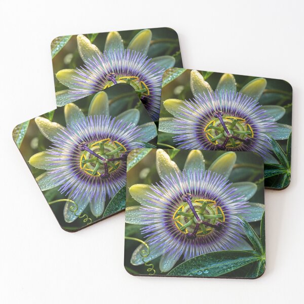 Item preview, Radiant Passionflower at Golden Hour designed and sold by Kimberly Palmer.
