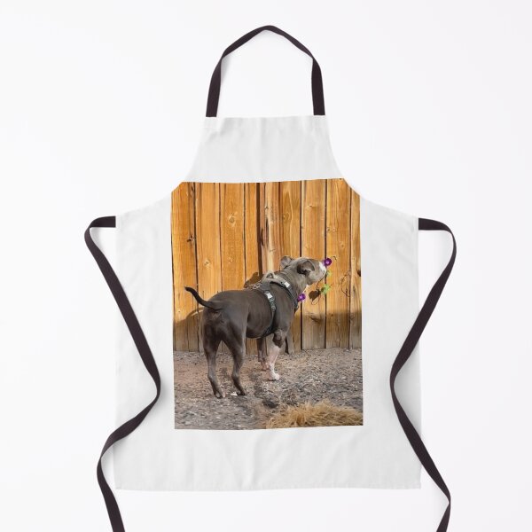 Item preview, Fred Enjoying Morning Glory ABQ NM designed and sold by Donlan-2211.