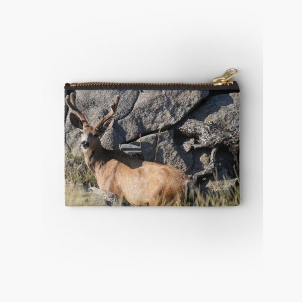 Item preview, Majestic Mule Deer in Velvet - Rist Canyon, Colorado designed and sold by Dirt500.