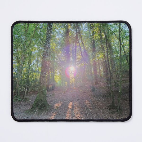 Item preview, Bodmin Forest Sunlight | Cornwall Woodland designed and sold by MikeWalksUK.