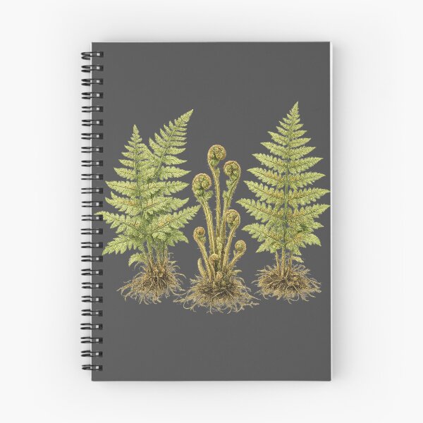 Item preview, Woodland Fern Botanical Illustration – Vintage Scientific Watercolor Nature Study designed and sold by MagicMakerPh.