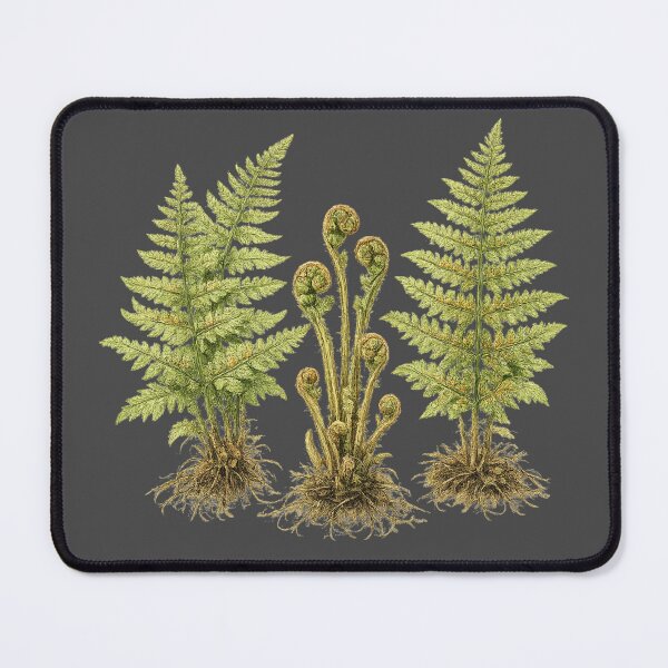 Item preview, Woodland Fern Botanical Illustration – Vintage Scientific Watercolor Nature Study designed and sold by MagicMakerPh.