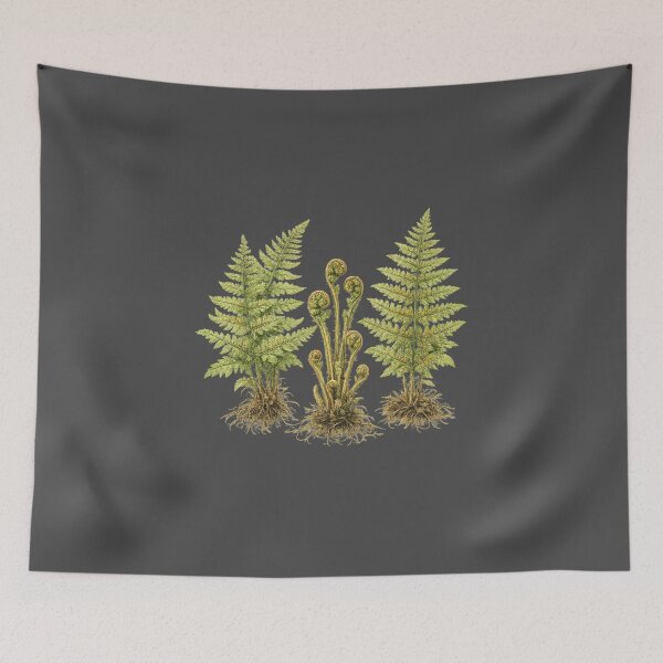 Item preview, Woodland Fern Botanical Illustration – Vintage Scientific Watercolor Nature Study designed and sold by MagicMakerPh.