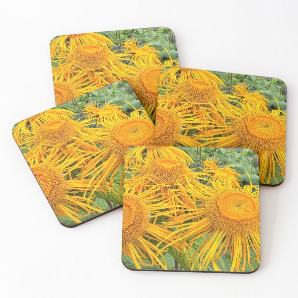 Item preview, Inula Sunflowers, Bright Summer Sunshine designed and sold by Violaman.