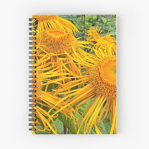 Item preview, Inula Sunflowers, Bright Summer Sunshine designed and sold by Violaman.