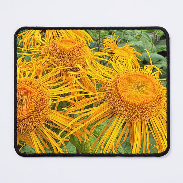Item preview, Inula Sunflowers, Bright Summer Sunshine designed and sold by Violaman.