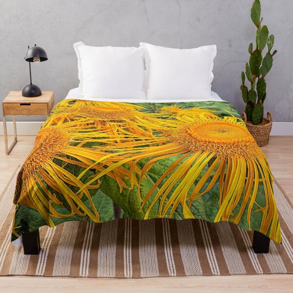 Item preview, Inula Sunflowers, Bright Summer Sunshine designed and sold by Violaman.
