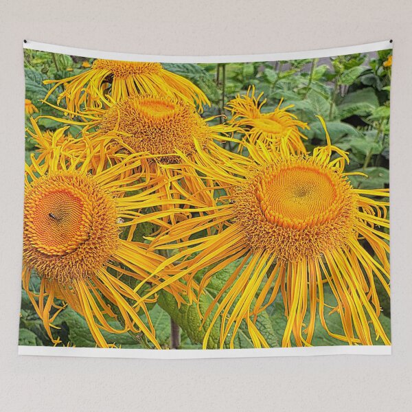 Item preview, Inula Sunflowers, Bright Summer Sunshine designed and sold by Violaman.