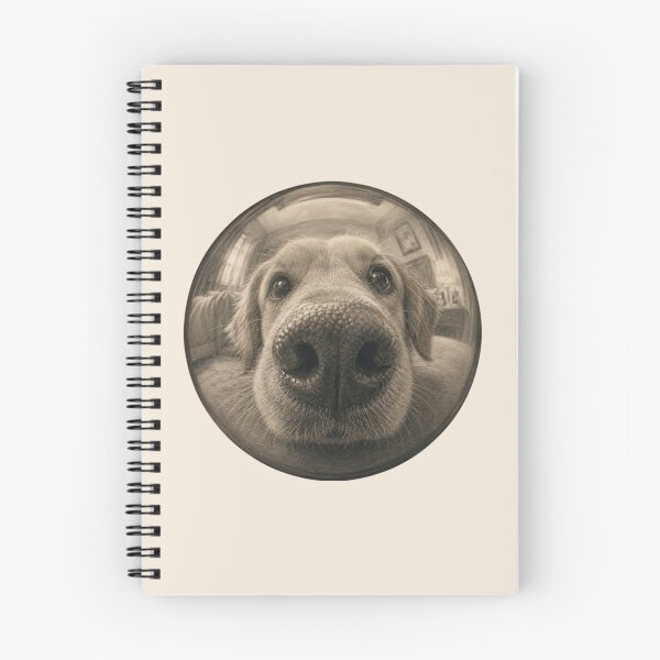 Item preview, Boop The Snoot Golden Retriever | Funny Fisheye Dog Portrait designed and sold by Safe Haven Pets.