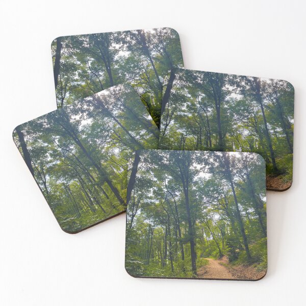 Item preview, Forest Path during Midday designed and sold by ArrogantRooster.