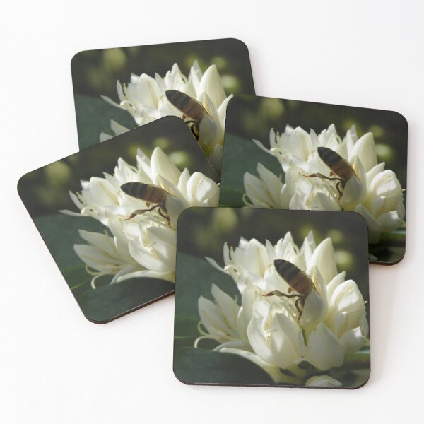 Item preview, Honeybee on coffee bloom - Big Island, Hawaii. designed and sold by JDY Studio Designs.