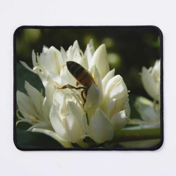 Item preview, Honeybee on coffee bloom - Big Island, Hawaii. designed and sold by JDY Studio Designs.