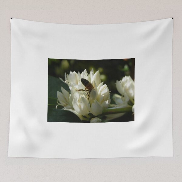 Item preview, Honeybee on coffee bloom - Big Island, Hawaii. designed and sold by JDY Studio Designs.