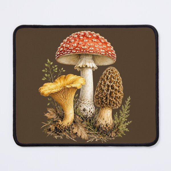 Item preview, Vintage Mushroom Botanical Illustration – Scientific Watercolor Woodland Fungi Study designed and sold by MagicMakerPh.
