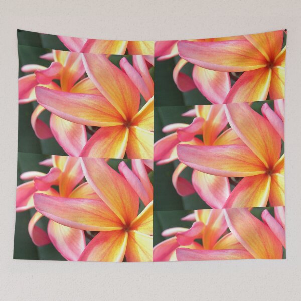 Item preview, Pink -orange plumeria -Big Island of Hawai’i designed and sold by JDY Studio Designs.