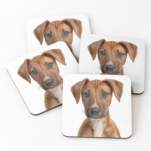 Item preview, Adorable Azawakh pup for Cute Azawakh puppy lovers designed and sold by LazyOwlStore.