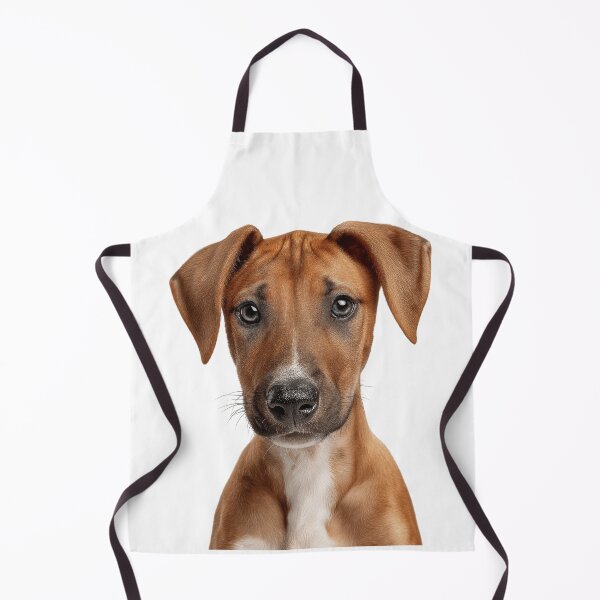 Item preview, Adorable Azawakh pup for Cute Azawakh puppy lovers designed and sold by LazyOwlStore.