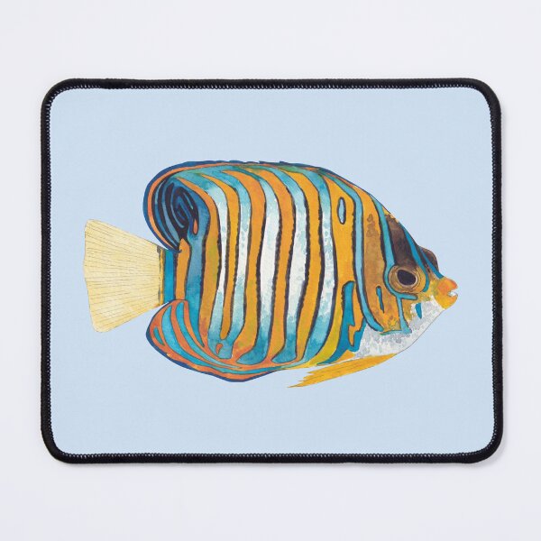 Item preview, REGAL ANGELFISH ADULT-Pygoplites diacanthus designed and sold by BEATRIZ ABAITUA.