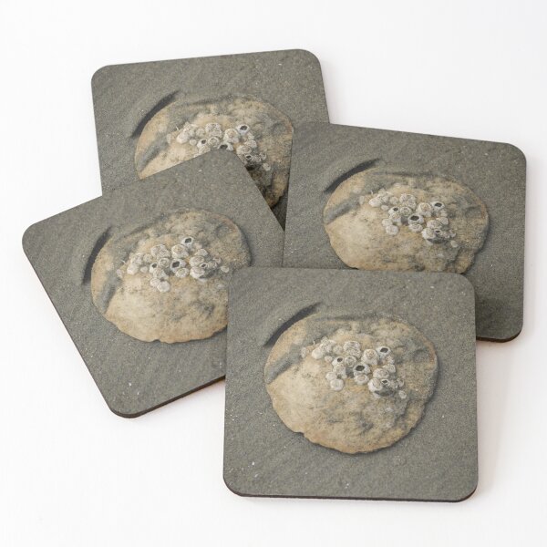 Item preview, Sand Dollar designed and sold by Sometimes-store.