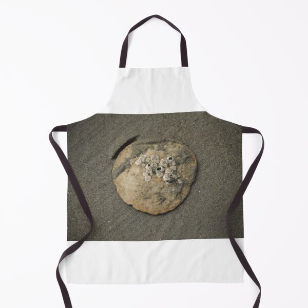 Item preview, Sand Dollar designed and sold by Sometimes-store.