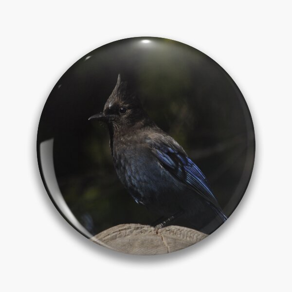 Item preview, Steller's Jay designed and sold by Sometimes-store.