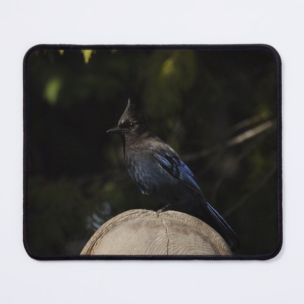 Item preview, Steller's Jay designed and sold by Sometimes-store.