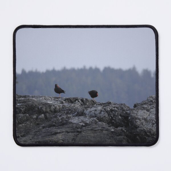 Item preview, Oyster Catchers designed and sold by Sometimes-store.
