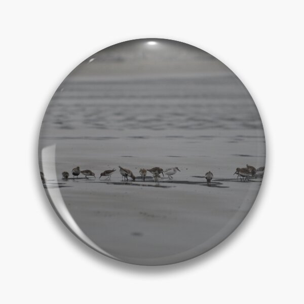 Item preview, Shorebird Beach designed and sold by Sometimes-store.