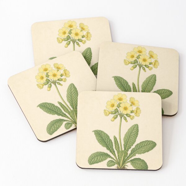 Item preview, Vintage Yellow Primrose Botanical Illustration designed and sold by NuvoraNest.