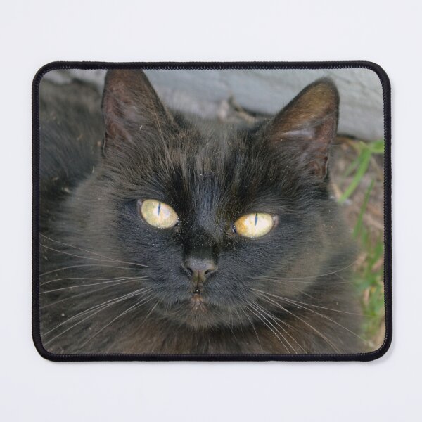 Item preview, Kietie - A legacy of Love designed and sold by Annesshop0207.