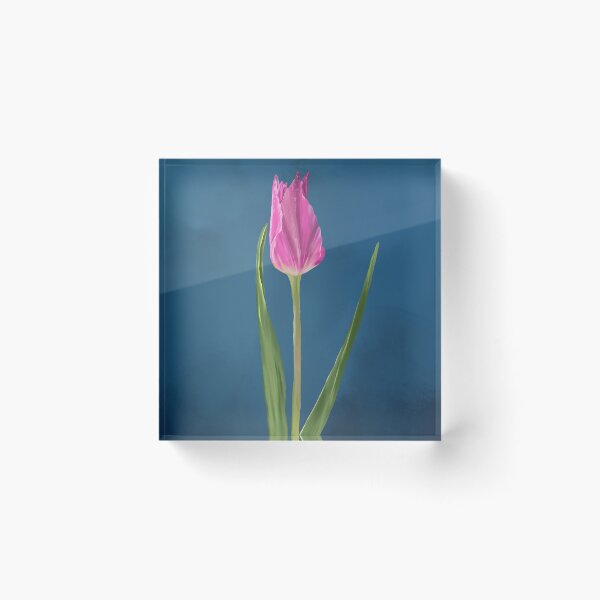 Item preview, Digital painting single tulip pink designed and sold by NoemiMarozsan.