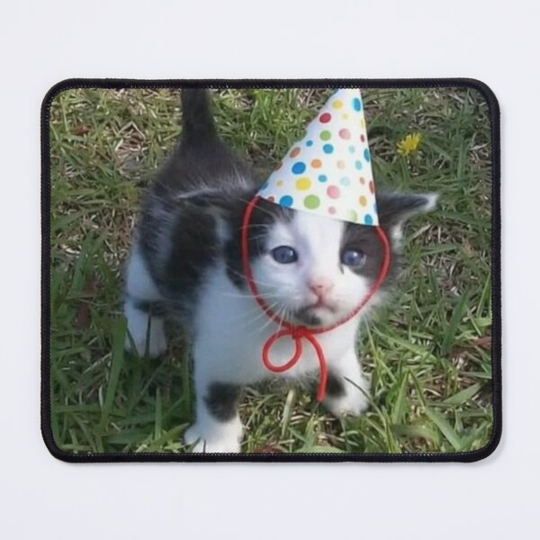 Item preview, cat birthday  designed and sold by CatsCritterDesigns .