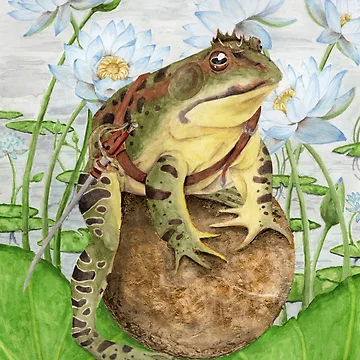 Artwork thumbnail, Frog Prince by Rey Mehlhorn
