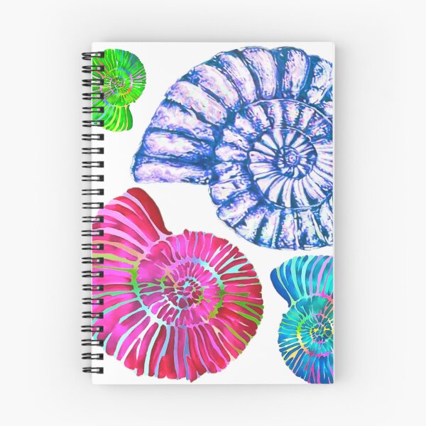 Item preview, 4 ammonites designed and sold by PumpkinStudioPL.