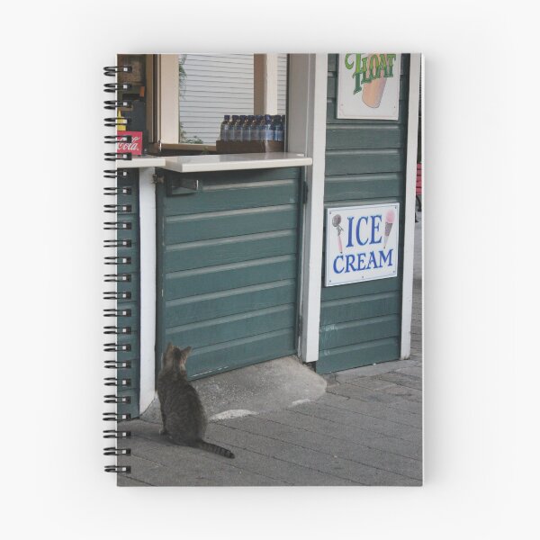 Item preview, Cat waiting for a treat designed and sold by Cait's Creations.