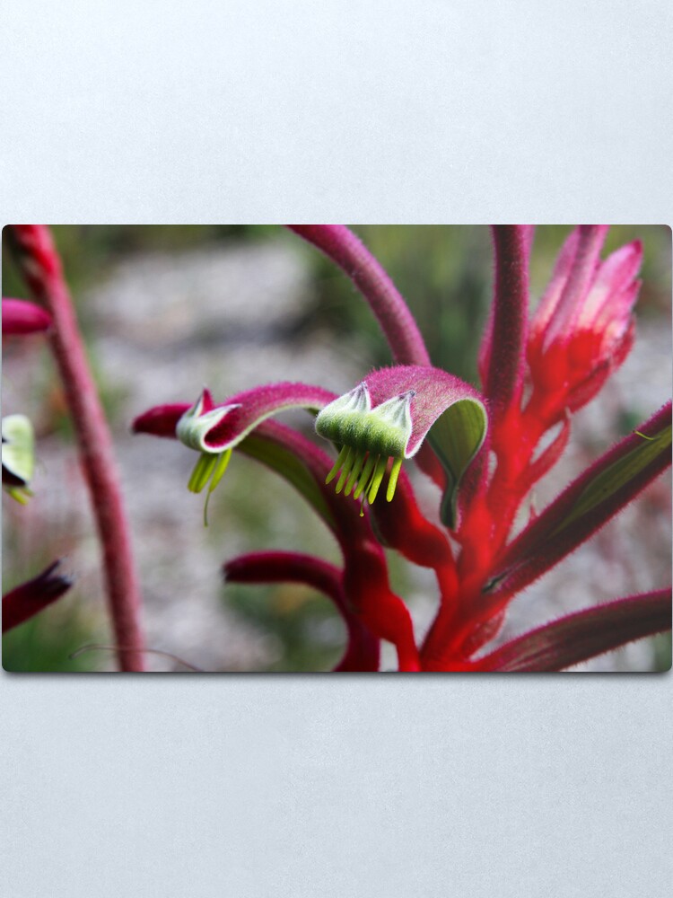 Alternate view of Amazing pink & red Metal Print