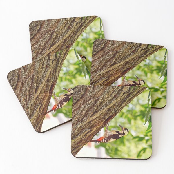 Item preview, Wild Spotted Woodpecker At The Tree Nest designed and sold by GraffiTimi.