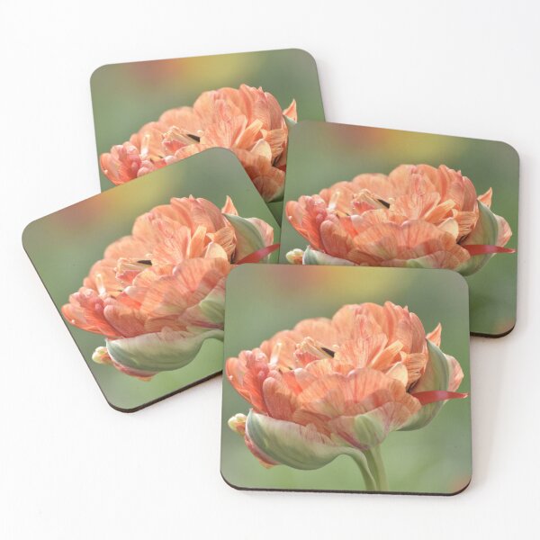 Item preview, Vibrant Double Peony Tulip Bloom designed and sold by TathataPhotos.