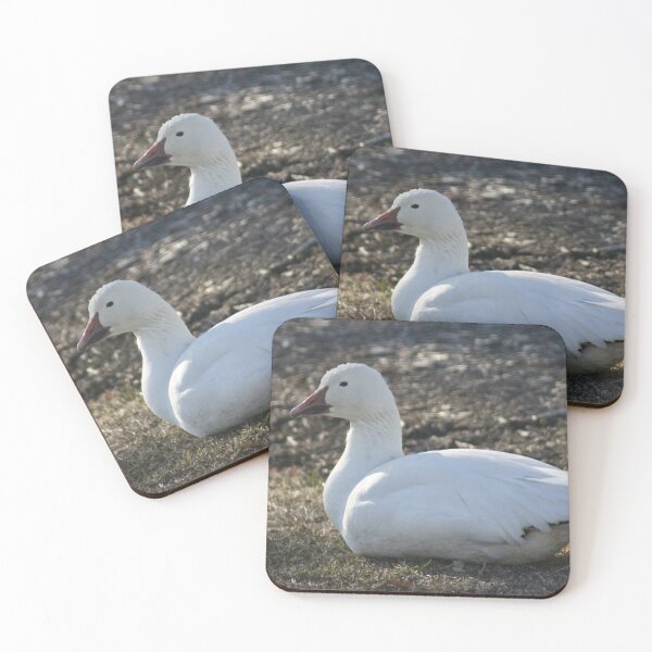 Item preview, Snow Goose designed and sold by CrownedCraneCreations.