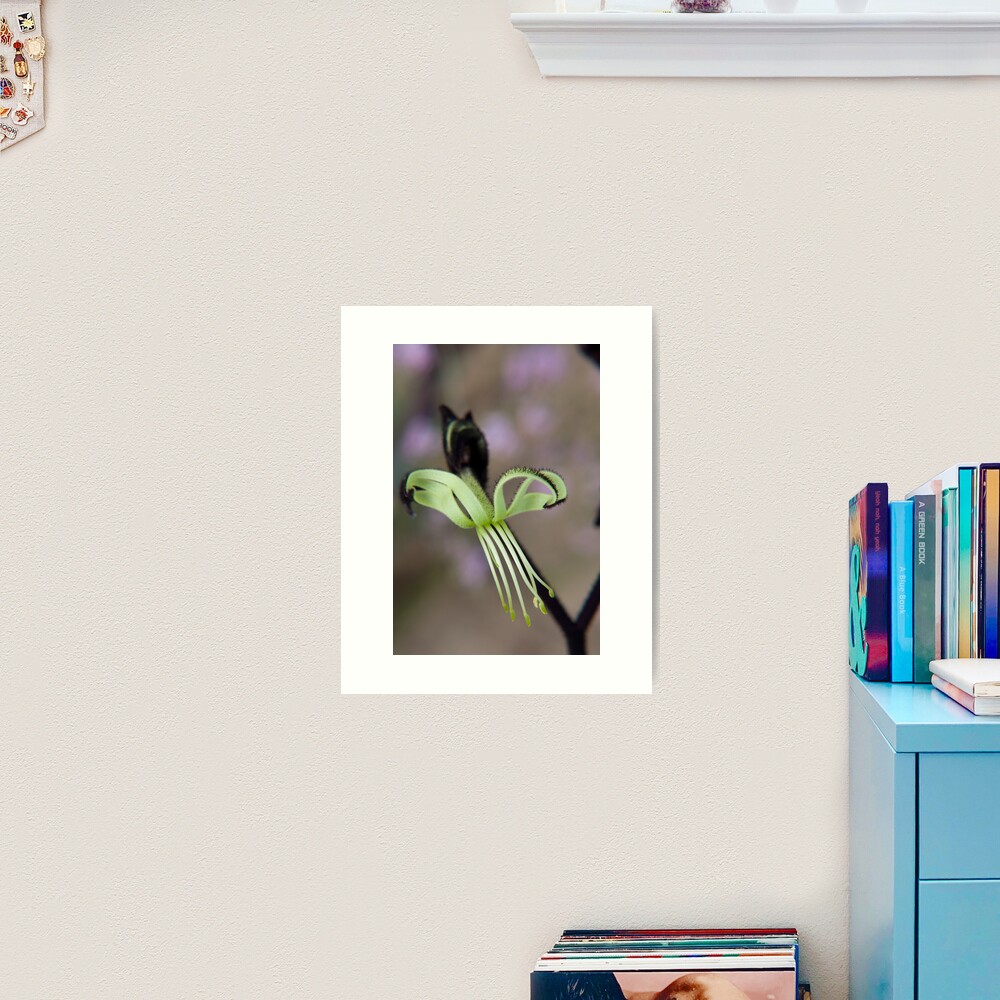 Black as the night Art Print