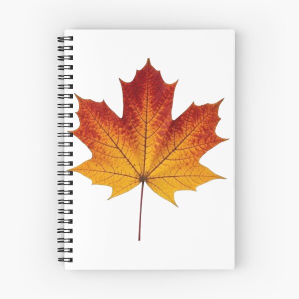Item preview, Autumn Maple Leaf designed and sold by VelarisMoon.